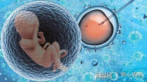 专业供卵代怀服务